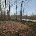 zdjęcie nr 42
