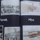 zdjęcie nr 33