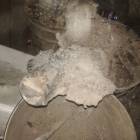 Fotka nr 3 z 6