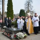 zdjęcie nr 20