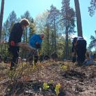 zdjęcie nr 40