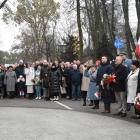 zdjęcie nr 31