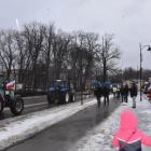 zdjęcie nr 43