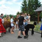 zdjęcie nr 55