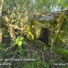 zdjęcie nr 8