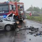 zdjęcie nr 13