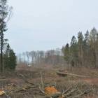 zdjęcie nr 33