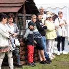 zdjęcie nr 36