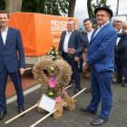 zdjęcie nr 12