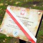 zdjęcie nr 27