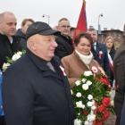 zdjęcie nr 19