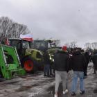 zdjęcie nr 31