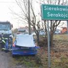 zdjęcie nr 9