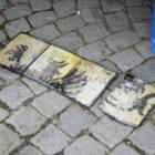 zdjęcie nr 18
