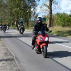 zdjęcie nr 100