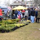 zdjęcie nr 80