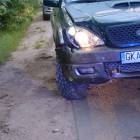 zdjęcie nr 8