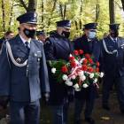zdjęcie nr 9