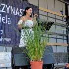 zdjęcie nr 23