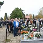 zdjęcie nr 24