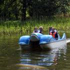 zdjęcie nr 14