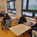 Fotka nr 4 z 43