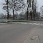 zdjęcie nr 7