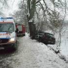 zdjęcie nr 13