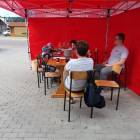 zdjęcie nr 12