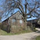zdjęcie nr 16