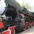 Fotka nr 5 z 16