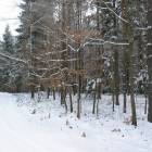 zdjęcie nr 11