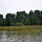 Fotka nr 0 z 5
