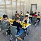 Fotka nr 5 z 8