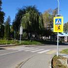 Fotka nr 1 z 21