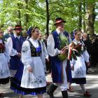 zdjęcie nr 117