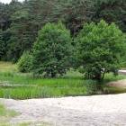 zdjęcie nr 38