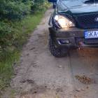 Fotka nr 5 z 20