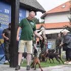 zdjęcie nr 80
