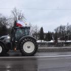 zdjęcie nr 75