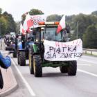 zdjęcie nr 71