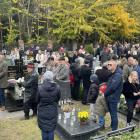 zdjęcie nr 23