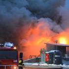 zdjęcie nr 43