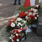 zdjęcie nr 40