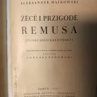 zdjęcie nr 34