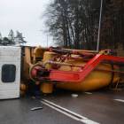 Fotka nr 2 z 17