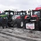 zdjęcie nr 17