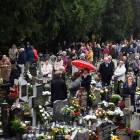 zdjęcie nr 24