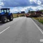 zdjęcie nr 3