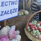 zdjęcie nr 96